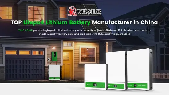 Rechargeable Lithium Battery Pack 51.2V 48V 100ah 150ah 200ah 300ah Li-ion/ Lithium Ion LiFePO4 Rack Battery for UPS Home Solar Energy Storage System Powerwall