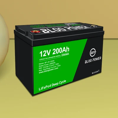 Bloopower 12 24 48 Volt Li-Ionen-Li-Ionen-Zellen-Batteriepaket für Windkraftanlage, Solar-Straßenlaterne, LED-Beleuchtung, Lithium-Batterie